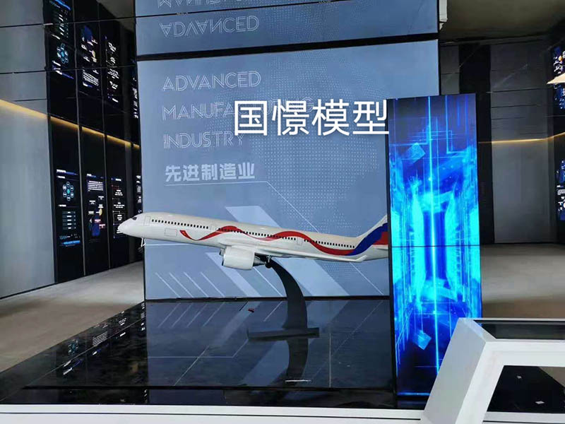 平陆县飞机模型