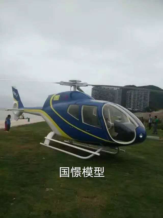 平陆县飞机模型