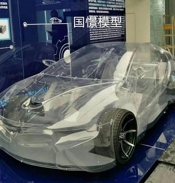 平陆县透明车模型